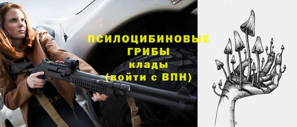 прущий лед Нея