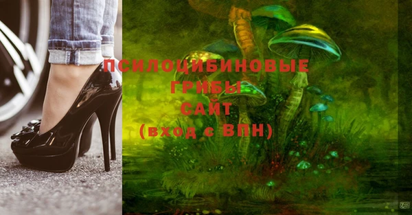 прущая мука Горняк