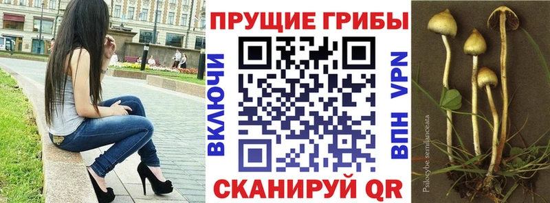 Галлюциногенные грибы прущие грибы  как найти закладки  ОМГ ОМГ ссылка  Екатеринбург 
